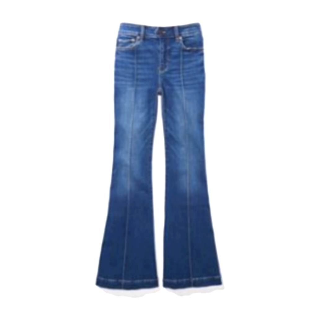 AE Festival Flare Seamed Front Jeans, 0Reg